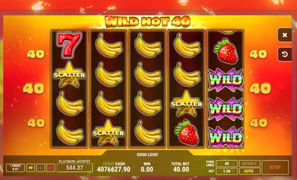 Wild hot 40 početni ekan
