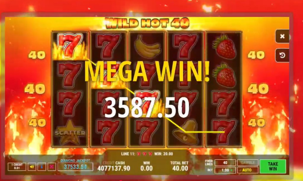 Wild hot 40 dobitak
